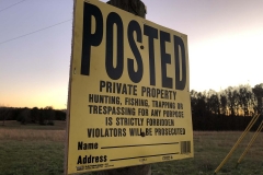 Local property line marked with posted signs on plywood backing.