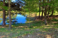 Underbrush clearing in progress to open up pond view on thinning project in Granville County.