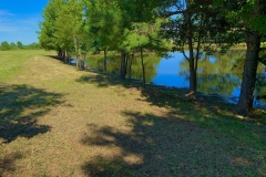 Underbrush clearing complete to open up pond view on thinning project in Granville County.