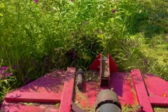 Annual cutting of local meadow to promote pollinator growth.