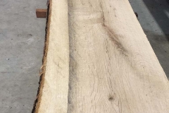 3” thick white oak slab custom cut for a bench top.