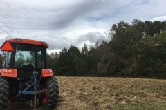 Subsoiling fallow field for deep aeration.