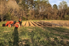 Freshly turned, disced, rototilled, and hilled garden plot in Northern Wake County.